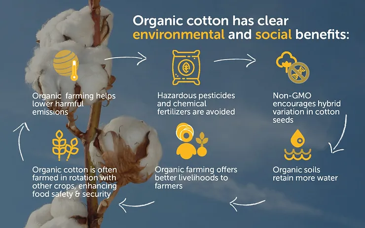 What Exactly is ORGANIC COTTON?